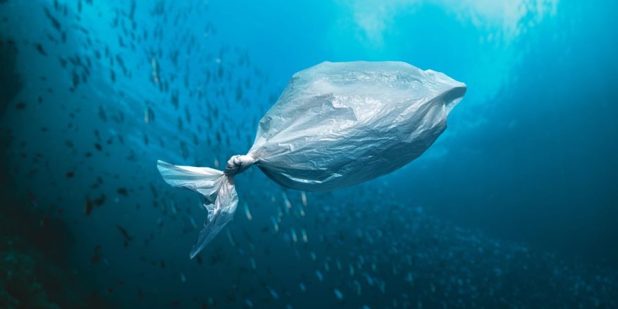 A globális szemétszigetek és hatásuk a vízi ökoszisztémára